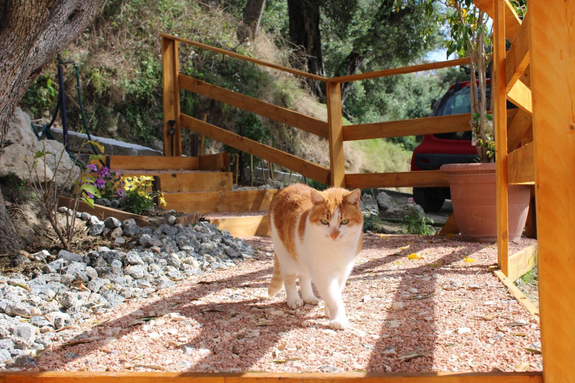 Pentátion Nature Habitat מראה חיצוני תמונה